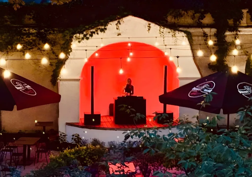 5 More Live Shows in August: Dřevný Kocůr’s Summer Stage